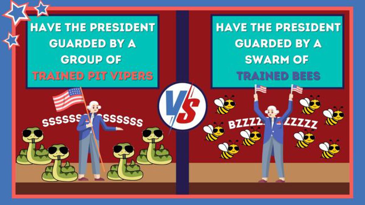 Debate Night - Animal Edition image number null